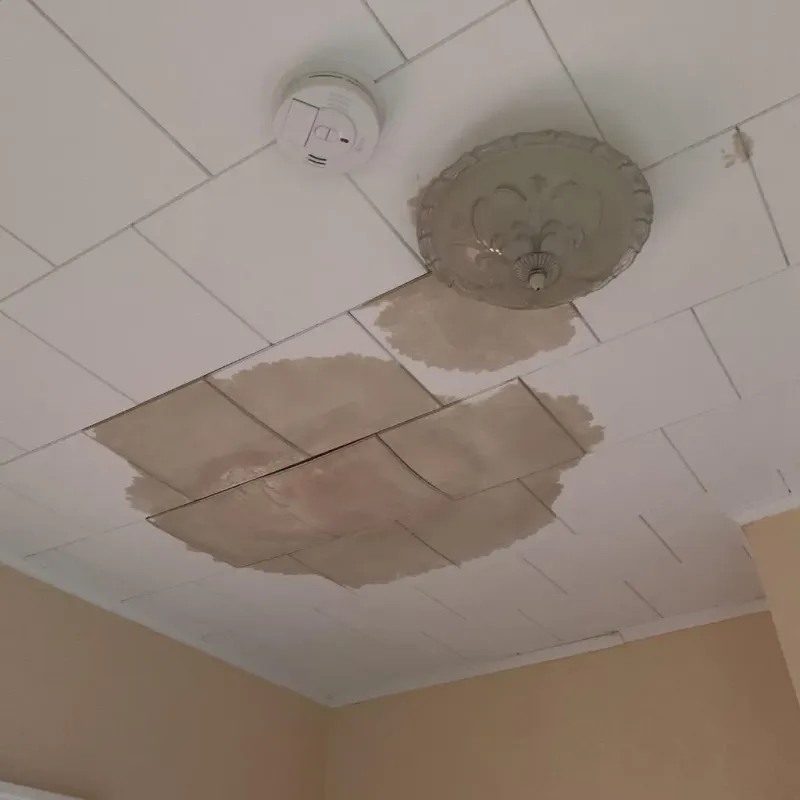 Ceiling Water Damage Repair in Melrose, MN